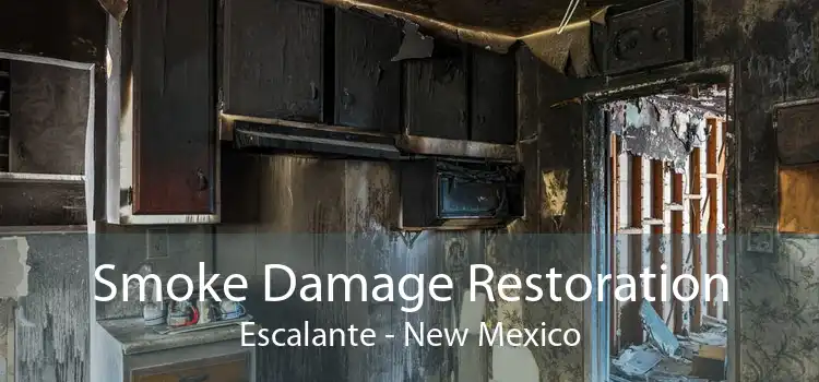 Smoke Damage Restoration Escalante - New Mexico