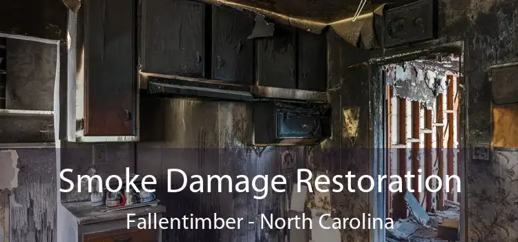 Smoke Damage Restoration Fallentimber - North Carolina