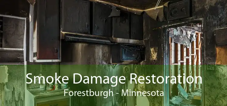 Smoke Damage Restoration Forestburgh - Minnesota