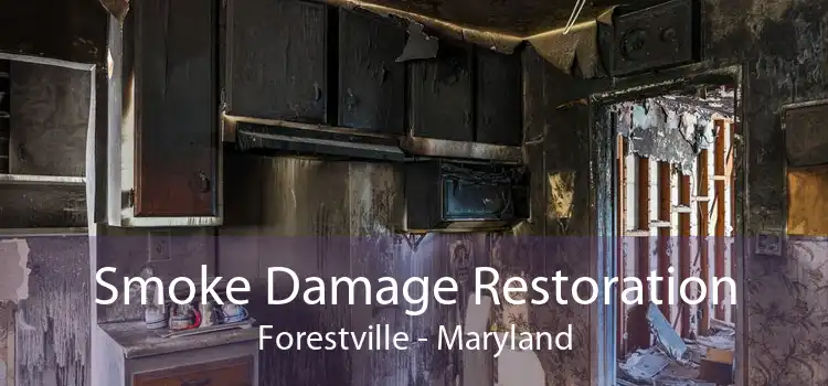 Smoke Damage Restoration Forestville - Maryland