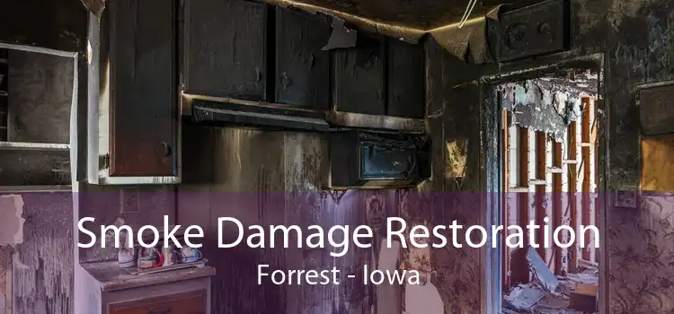 Smoke Damage Restoration Forrest - Iowa