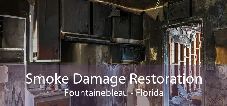 Smoke Damage Restoration Fountainebleau - Florida