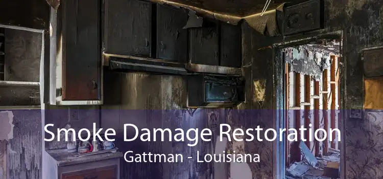 Smoke Damage Restoration Gattman - Louisiana