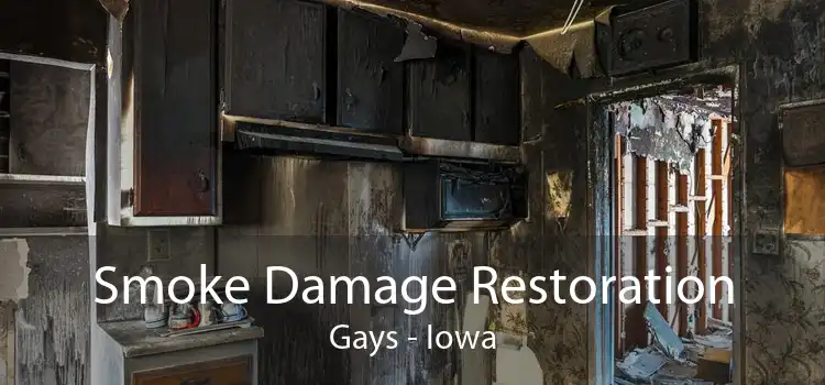 Smoke Damage Restoration Gays - Iowa