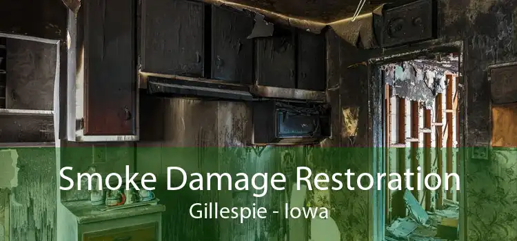 Smoke Damage Restoration Gillespie - Iowa
