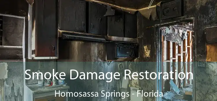 Smoke Damage Restoration Homosassa Springs - Florida