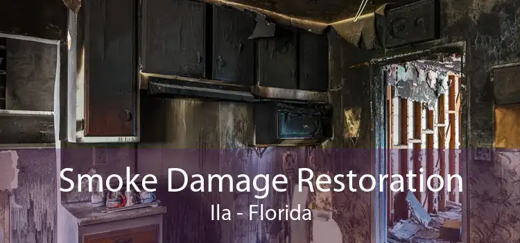 Smoke Damage Restoration Ila - Florida
