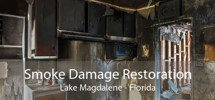 Smoke Damage Restoration Lake Magdalene - Florida