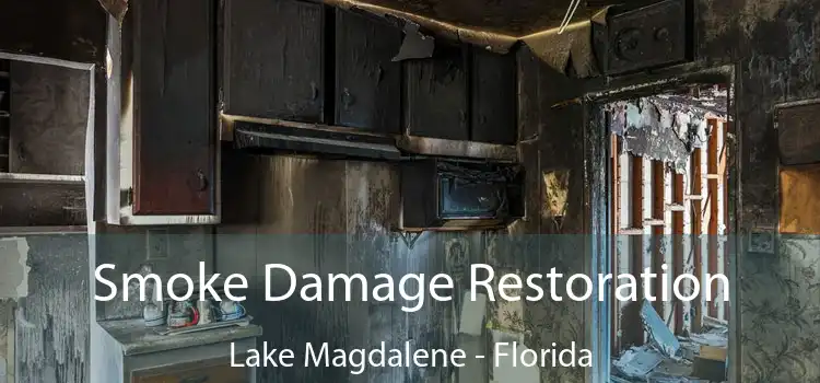 Smoke Damage Restoration Lake Magdalene - Florida