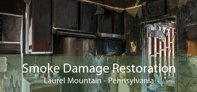 Smoke Damage Restoration Laurel Mountain - Pennsylvania