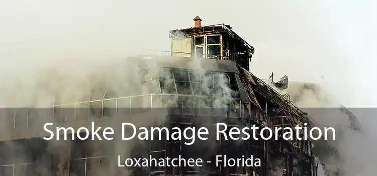 Smoke Damage Restoration Loxahatchee - Florida