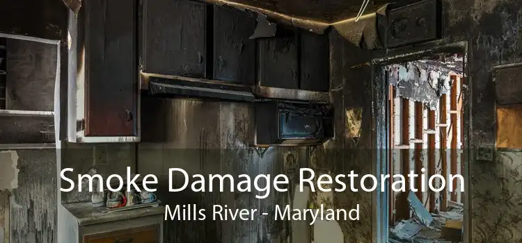 Smoke Damage Restoration Mills River - Maryland