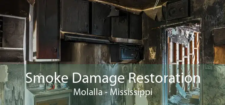 Smoke Damage Restoration Molalla - Mississippi