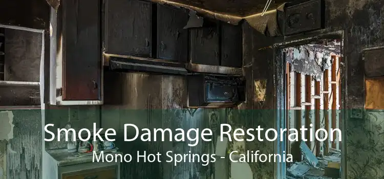 Smoke Damage Restoration Mono Hot Springs - California