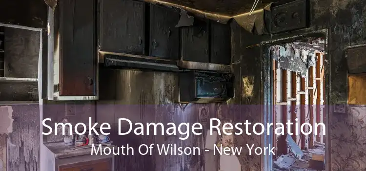 Smoke Damage Restoration Mouth Of Wilson - New York