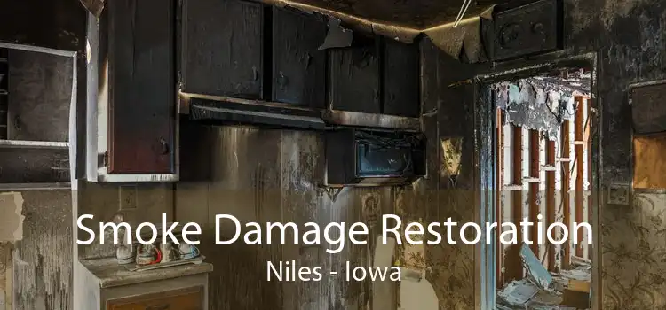 Smoke Damage Restoration Niles - Iowa