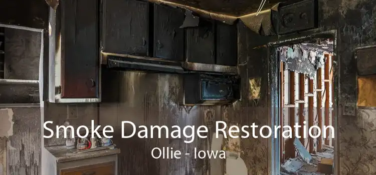 Smoke Damage Restoration Ollie - Iowa