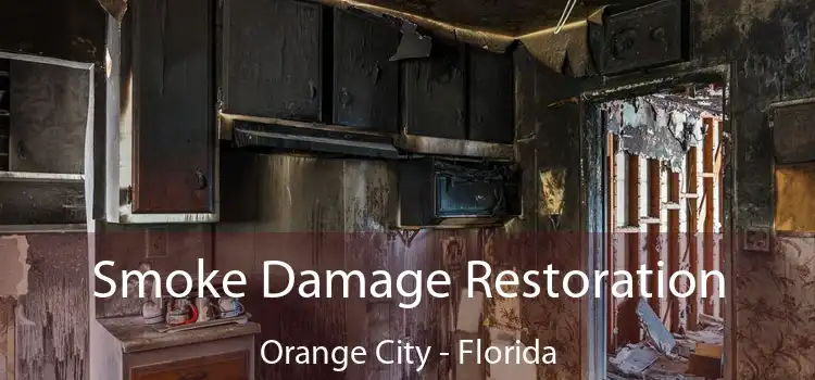 Smoke Damage Restoration Orange City - Florida