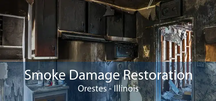 Smoke Damage Restoration Orestes - Illinois