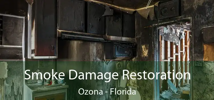 Smoke Damage Restoration Ozona - Florida