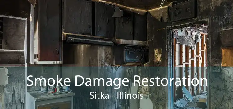 Smoke Damage Restoration Sitka - Illinois