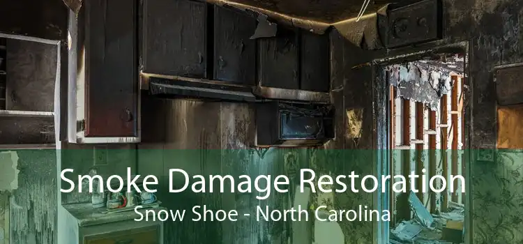 Smoke Damage Restoration Snow Shoe - North Carolina