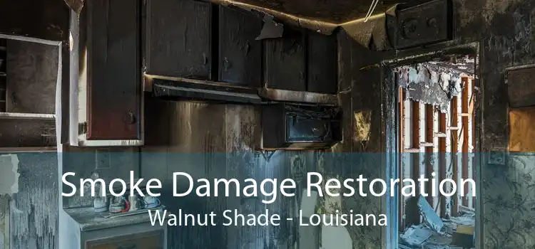 Smoke Damage Restoration Walnut Shade - Louisiana