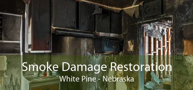 Smoke Damage Restoration White Pine - Nebraska