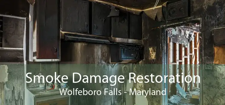 Smoke Damage Restoration Wolfeboro Falls - Maryland