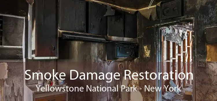 Smoke Damage Restoration Yellowstone National Park - New York