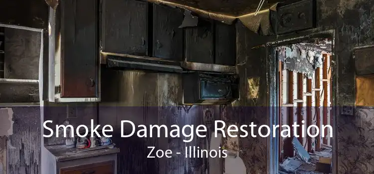Smoke Damage Restoration Zoe - Illinois