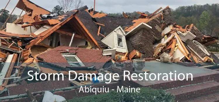 Storm Damage Restoration Abiquiu - Maine