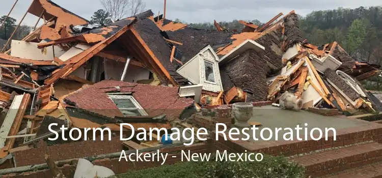 Storm Damage Restoration Ackerly - New Mexico