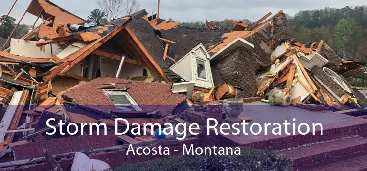 Storm Damage Restoration Acosta - Montana
