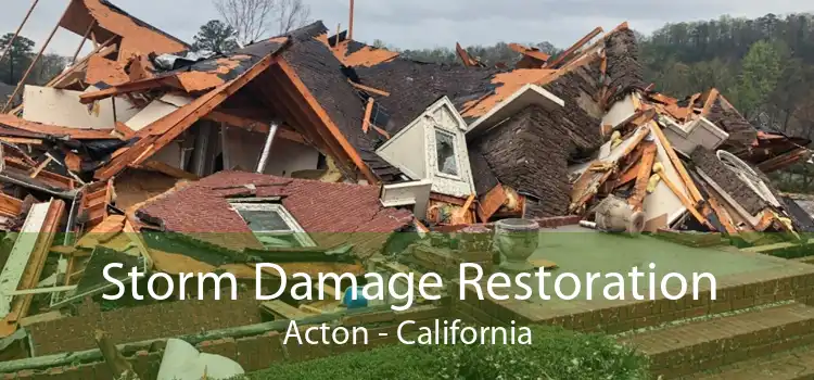 Storm Damage Restoration Acton - California