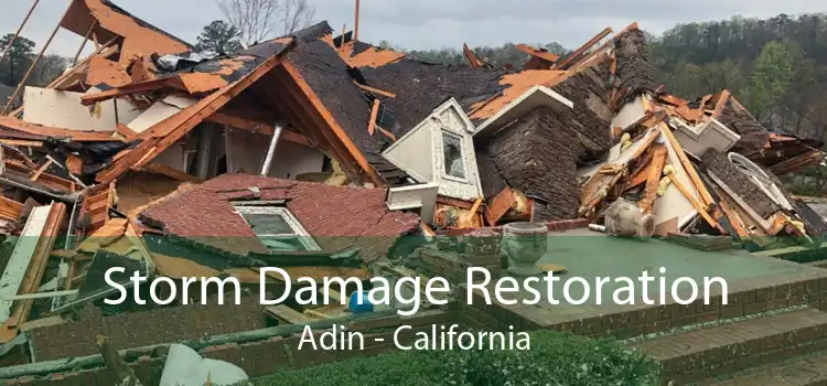 Storm Damage Restoration Adin - California