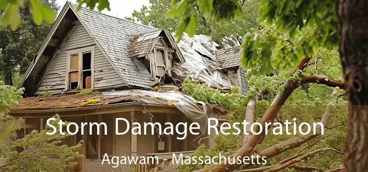 Storm Damage Restoration Agawam - Massachusetts