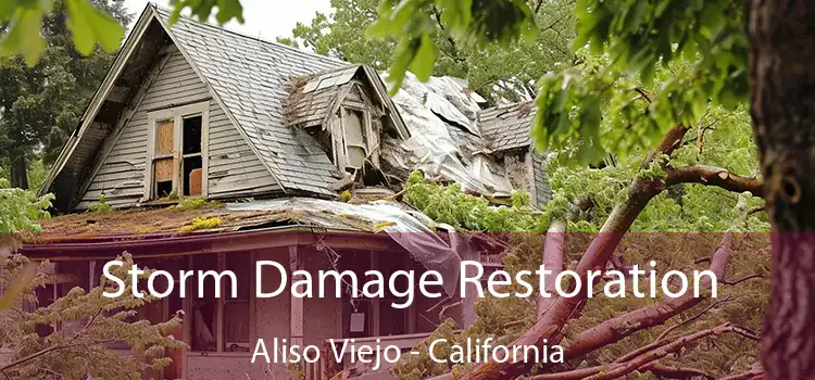 Storm Damage Restoration Aliso Viejo - California