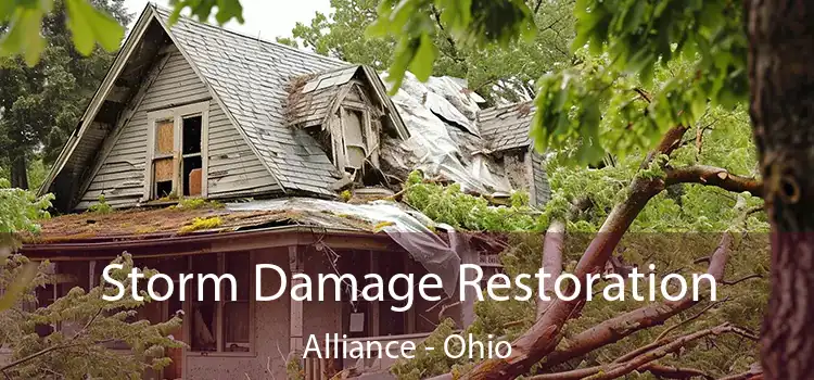 Storm Damage Restoration Alliance - Ohio