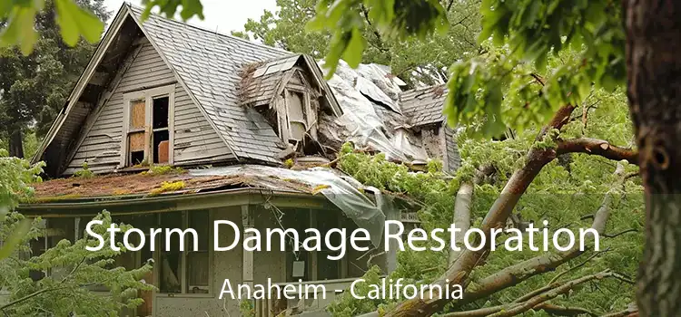 Storm Damage Restoration Anaheim - California