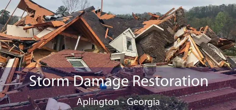 Storm Damage Restoration Aplington - Georgia