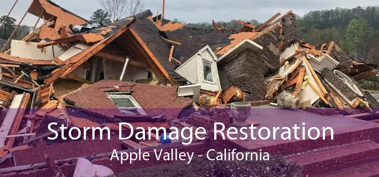Storm Damage Restoration Apple Valley - California