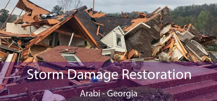 Storm Damage Restoration Arabi - Georgia