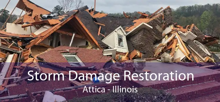 Storm Damage Restoration Attica - Illinois