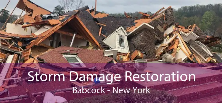 Storm Damage Restoration Babcock - New York