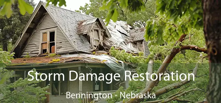 Storm Damage Restoration Bennington - Nebraska