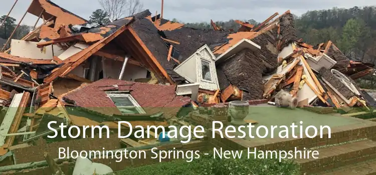 Storm Damage Restoration Bloomington Springs - New Hampshire
