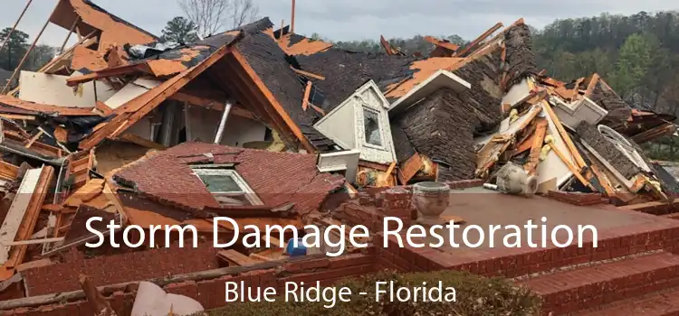 Storm Damage Restoration Blue Ridge - Florida