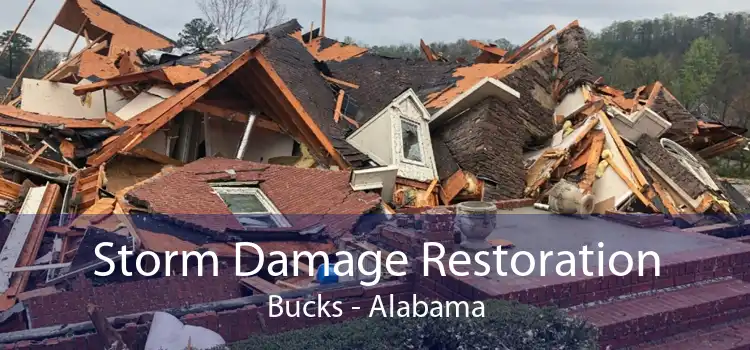 Storm Damage Restoration Bucks - Alabama