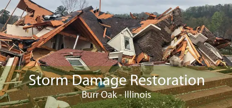 Storm Damage Restoration Burr Oak - Illinois